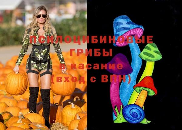 молекула духа Майский
