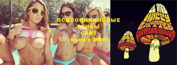 соль курить ск Медвежьегорск