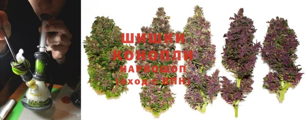трава Медногорск